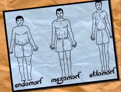 Fogyás az endo mezomorf esetében, Endomorf, mezomorf, ektomorf- mit is jelentenek ezek?